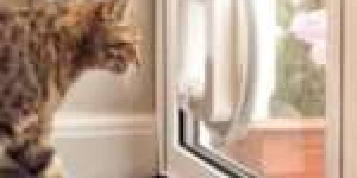 Responsible For A Cat Flap Replacement Budget? 10 Fascinating Ways To Spend Your Money