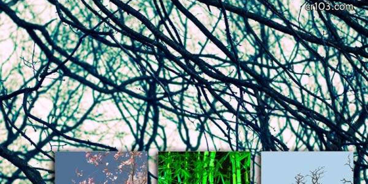 Meet the People Behind the Play