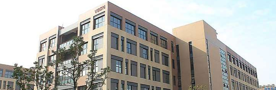 Lipoer electrics Cover Image