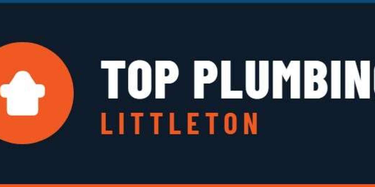 Reliable Plumbing Services for Homes and Businesses