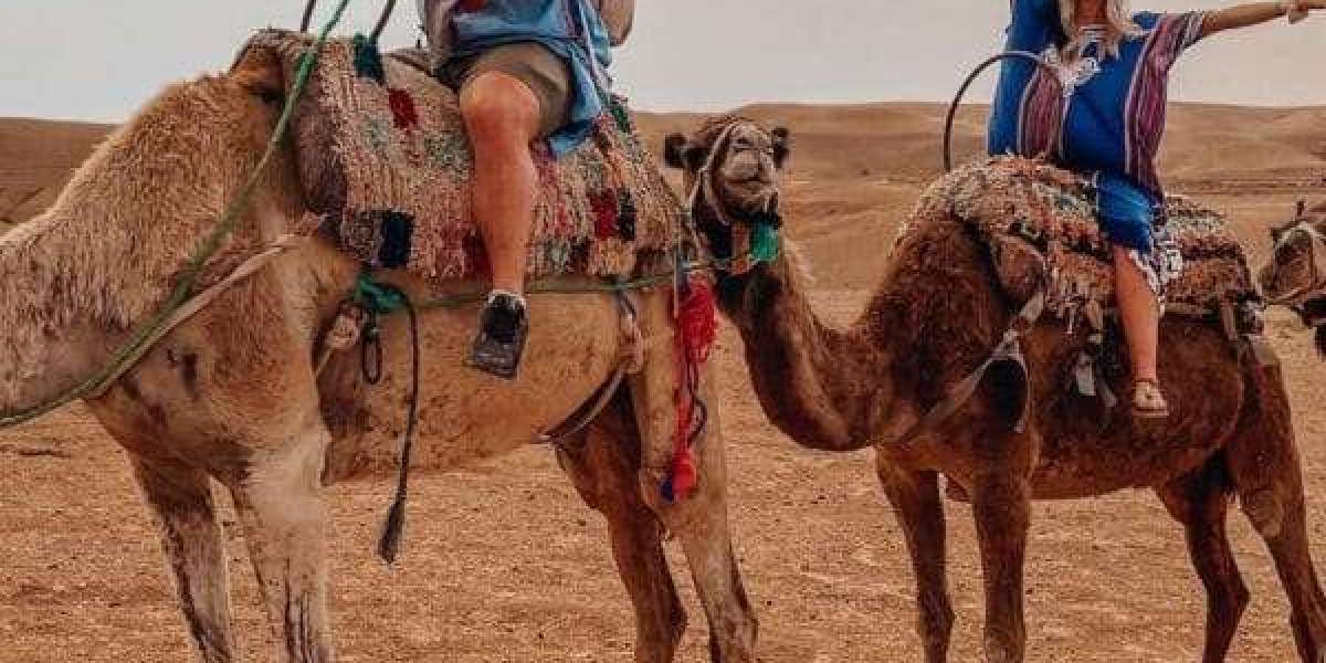 Camel Ride Morocco Marrakech Desert Adventure Experience