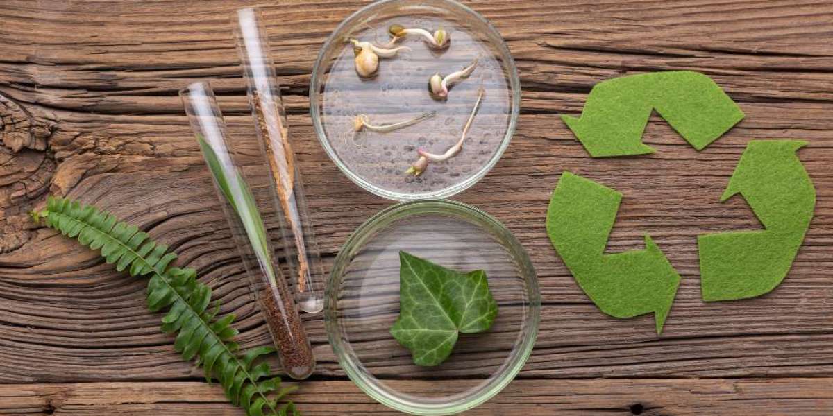 Bio Plastics Market Forecast 2026–2036: Market Expansion Driven by Sustainable Materials and Circular Economy Initiative