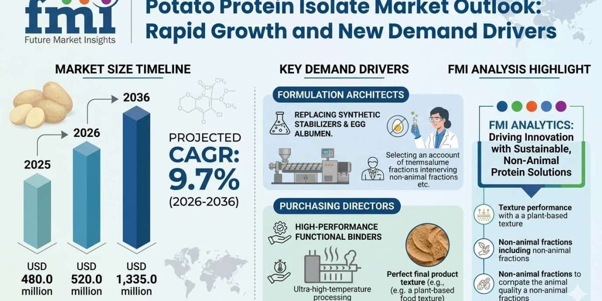 Potato Protein Isolate Market to Witness Strong Expansion by 2036