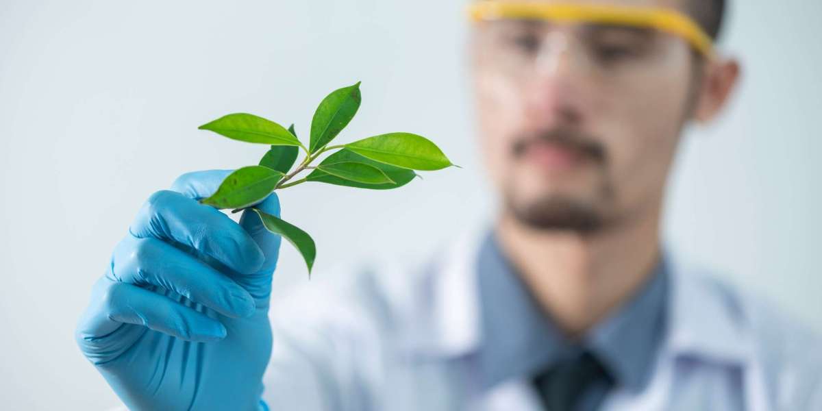 Holistic Healing at Lifeline Rehabs: Top De-Addiction Centre in India