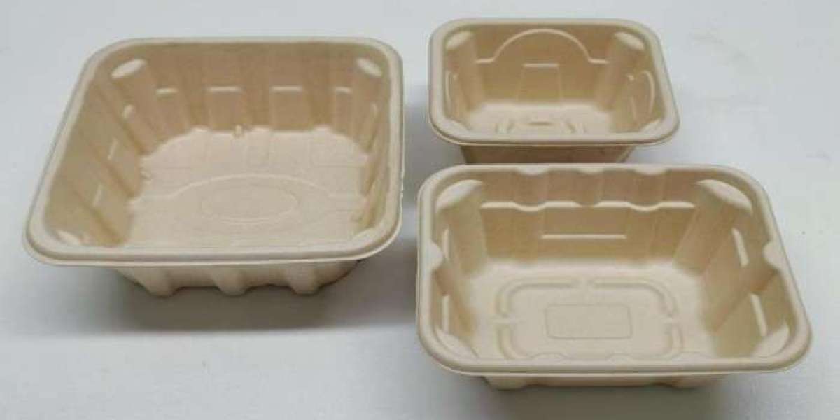 Waste-Fibre Trays Market Insights, Deep Analysis of Key Vendor in the Industry 2026 to 2036