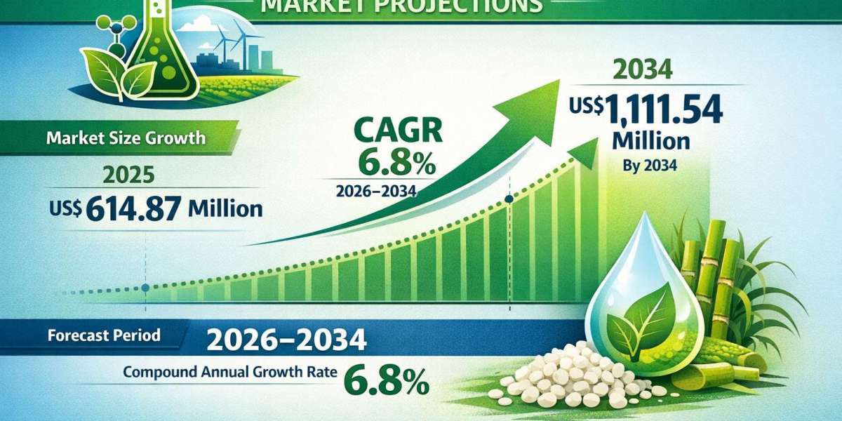 Sugars vs Lignocellulosic Biomass: How Bio-Based Ethylene Market Segmentation Is Shifting