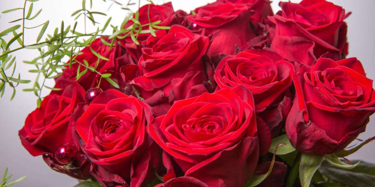 Escort Services Islamabad – Modern Urban Lifestyle and Professional Companionship