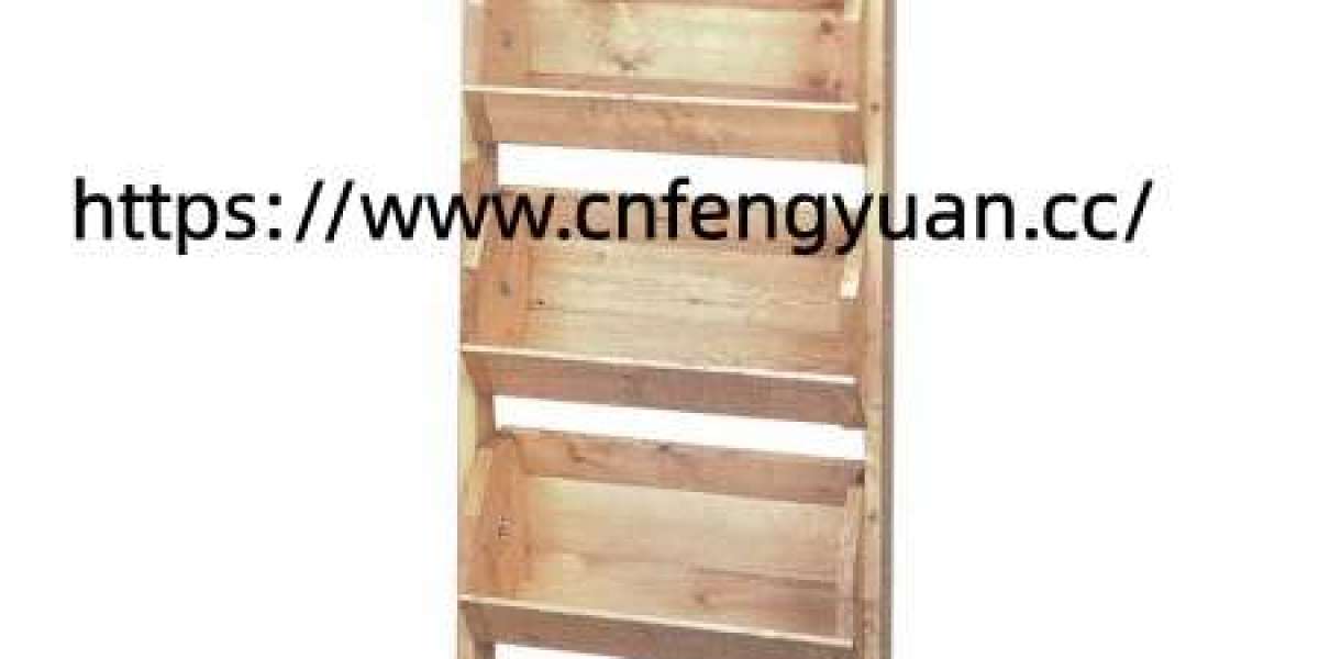 How does Fengyu Display Rack support retail organization efficiency today