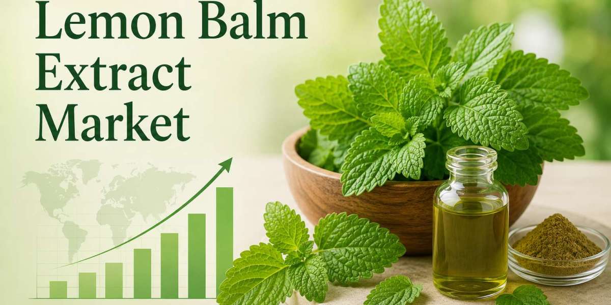 US Lemon Balm Extract Market Forecast 2034: Competitive Assessment of Domestic Manufacturers and Natural Ingredient Supp
