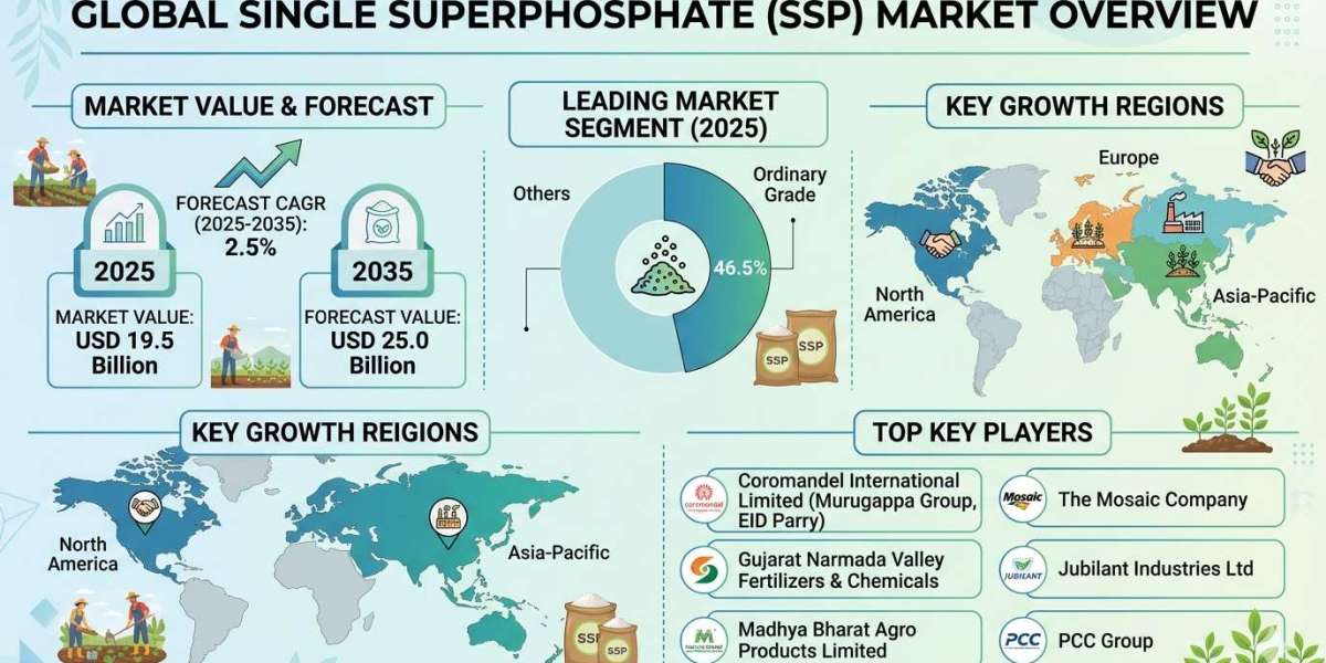 Global Single Superphosphate (SSP) Market Forecast 2025–2035: Market Expansion Driven by Soil Nutrient Management