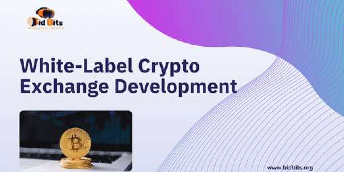 Article Picture