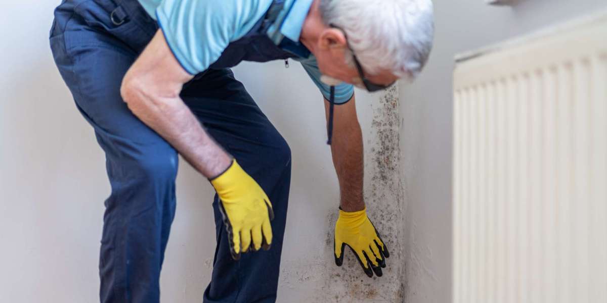 Leak Detection Services Every Property Owner Should Know