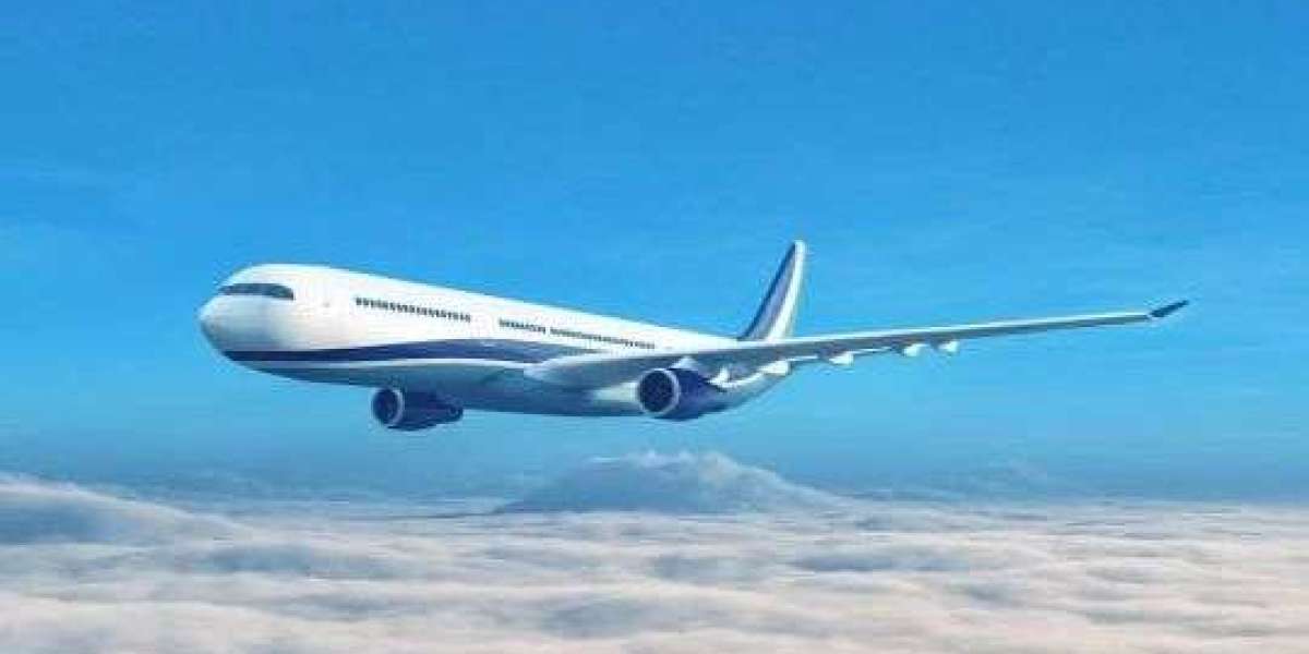 Why Is SAS Airlines So Cheap – Travel Guide