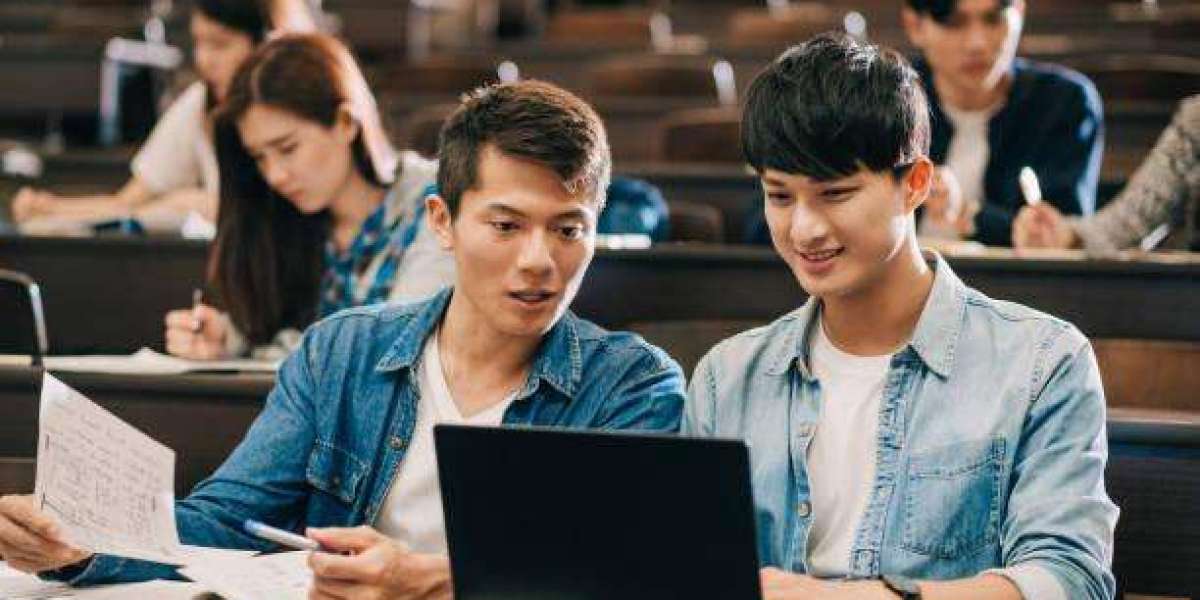 Professional Help Academic Strategies for CIPP and TEFL Assignment Success in the UK