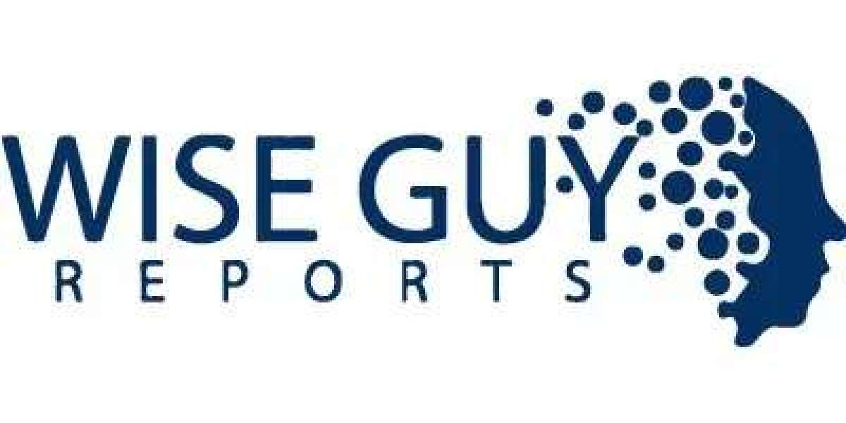 Plug In Hybrid Electric Passenger Vehicle Market Trends and Technological Evolution