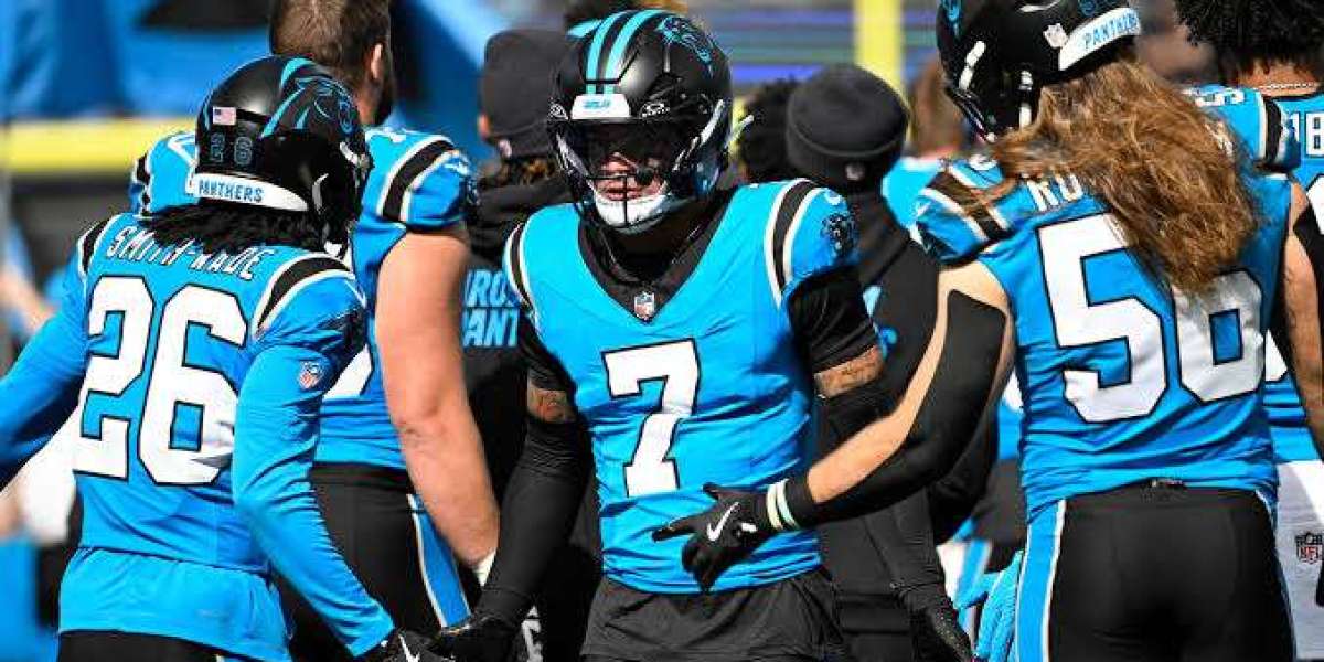 Brian Alternatives: Can Bryce Younger conclusion the Panthers playoff drought?