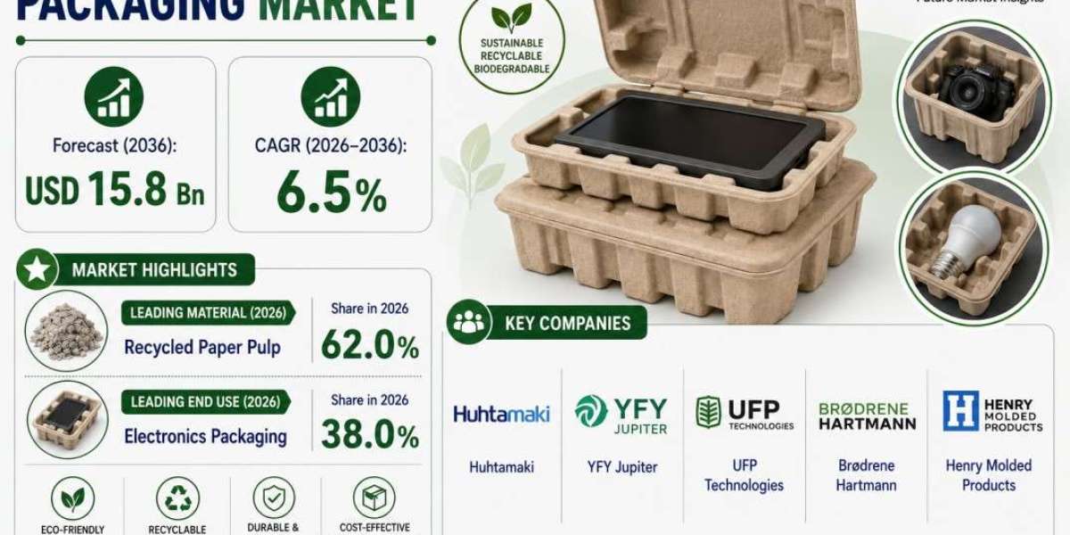 USA Molded Fiber Pulp Packaging Market Highlights Huhtamaki with 2036 Forecast