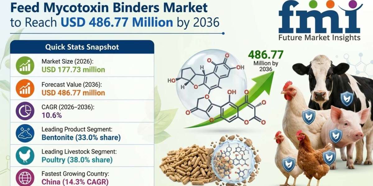Feed Mycotoxin Binders Market to Cross USD 486.77 Million by 2036
