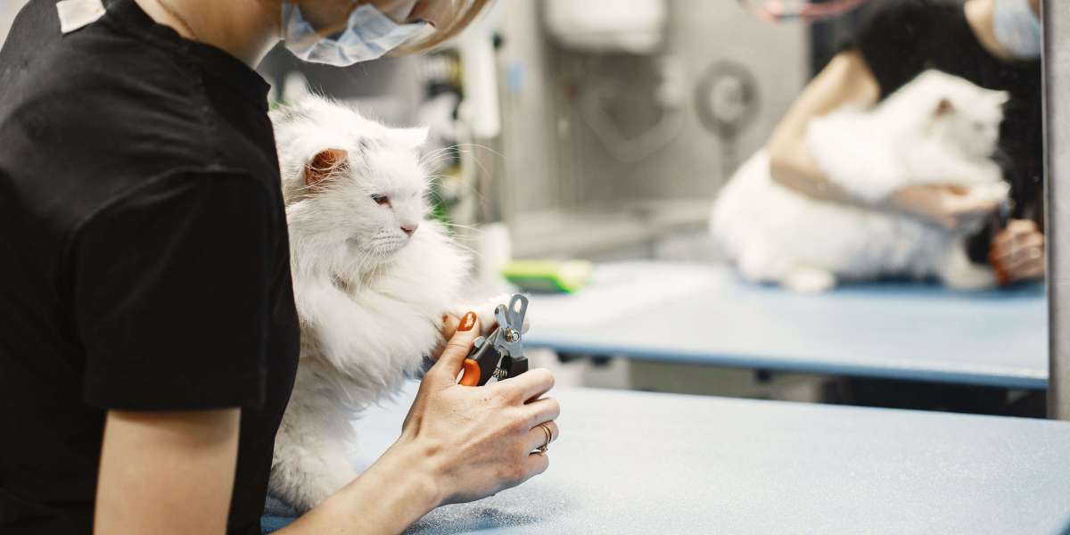 How Veterinary Clinics Reduce Missed Appointments With Professional Answering Services