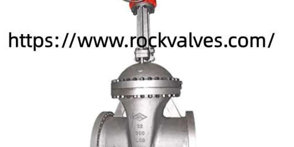 How Can Rockvalves Custom Cast Steel Valves Support Complex Applications