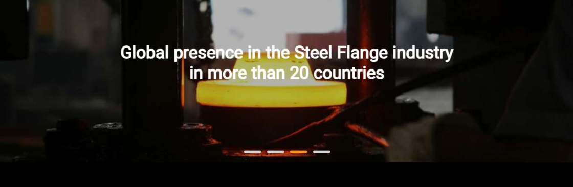 BFN FORGINGS Cover Image