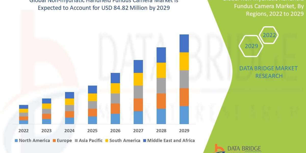 Non-Mydriatic Handheld Fundus Camera Market: Industry Size, Share, Diagnostic Trends, and Forecast by 2029