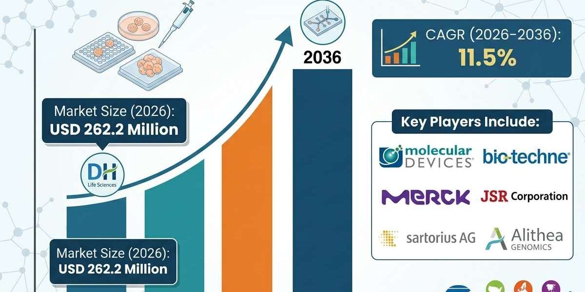 3D Ready Organoid Expansion Service Market Growth Accelerates with Rising Adoption of Patient-Derived Organoids