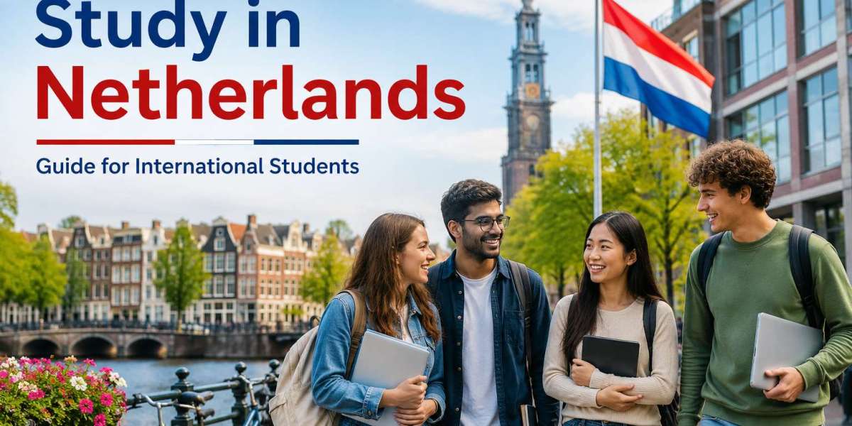 Study in Netherlands: Discovering a Modern European Education Experience