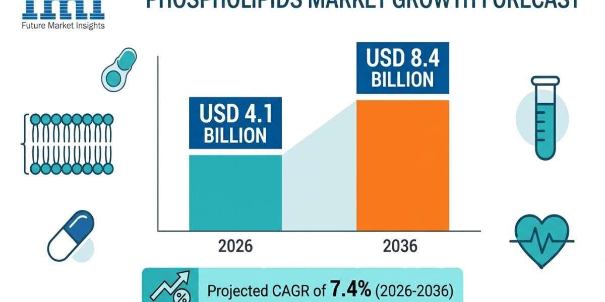 Phospholipids Market to Reach USD 8.4 Billion by 2036 as Advanced Drug Delivery and Nutraceutical Carrier Applications E