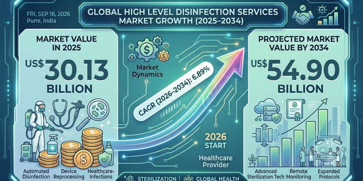 High Level Disinfection Services Market: Challenges, Opportunities, and Future Outlook