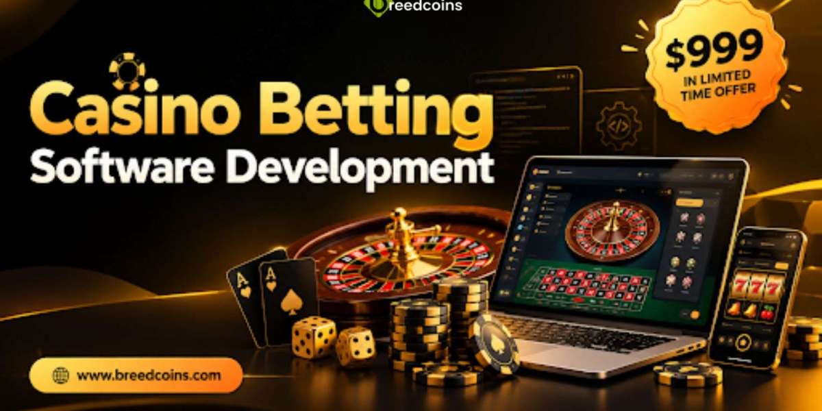 Custom Casino Betting Software Development for Scalable Gaming Businesses Offer Price at $999