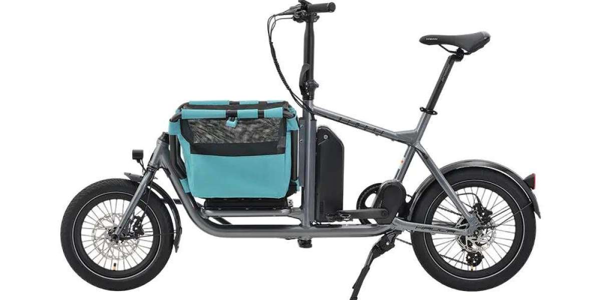 Urban Cargo Bike Configuration for Short Distance Logistics