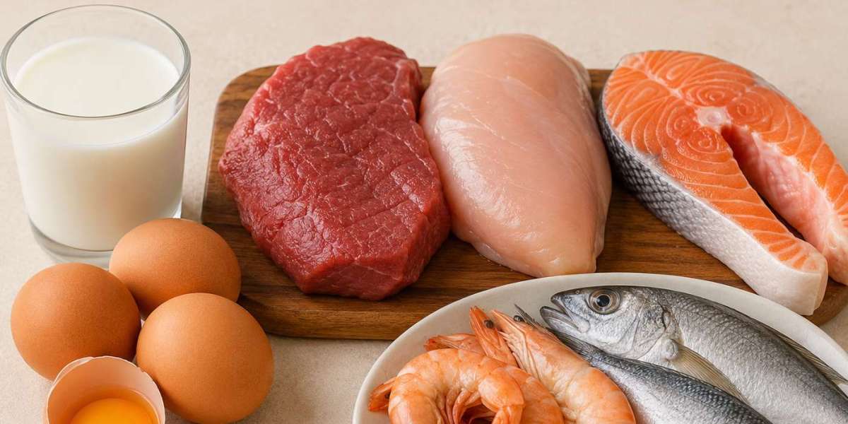 Animal Protein Market Demand in Food & Beverages: Size, Segment Share, and Growth Drivers to 2034